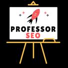 professor seo digital marketing courses in pune