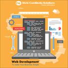 custom software development services in india