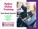 python online training