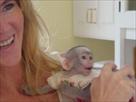 registered male and female capuchin monkeys for ad