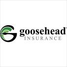 goosehead insurance – mike littau