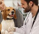 get hired for veterinarian technician tech jobs