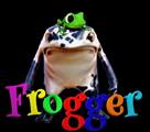 froggersite