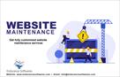 website maintenance services | endurance softwares