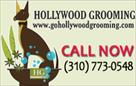 hollywood grooming