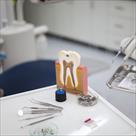 desoto dental services  inc