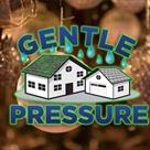 gentle pressure roof and exterior cleaning