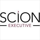 scion executive search