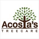 tree care services in franklin
