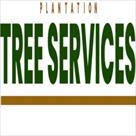 fort lauderdale tree service