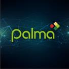 palma financial services  inc