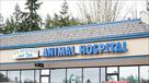 wilderness animal hospital