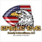 eagle eye security surveillance  llc