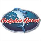 dolphin quest