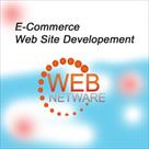 web netware | development | designing | seo | host