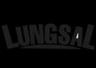 lungsal international