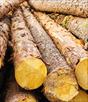 softwood manufacturers in india