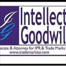 intellect goodwill trademark services