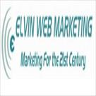 elvin web marketing