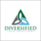 diversified tech solutions