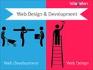 hire professional team of web designer developer