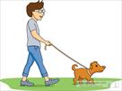 shore pet services llc  dog walker pet sitter