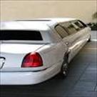 springfield limousine nj services