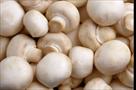 mushroom india khao khilao and health banao