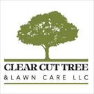 clear cut tree lawn care