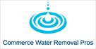 commerce water removal pros