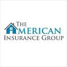 the american insurance group  llc