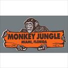 monkey jungle