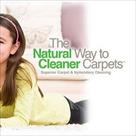 young s chem dry carpet cleaning